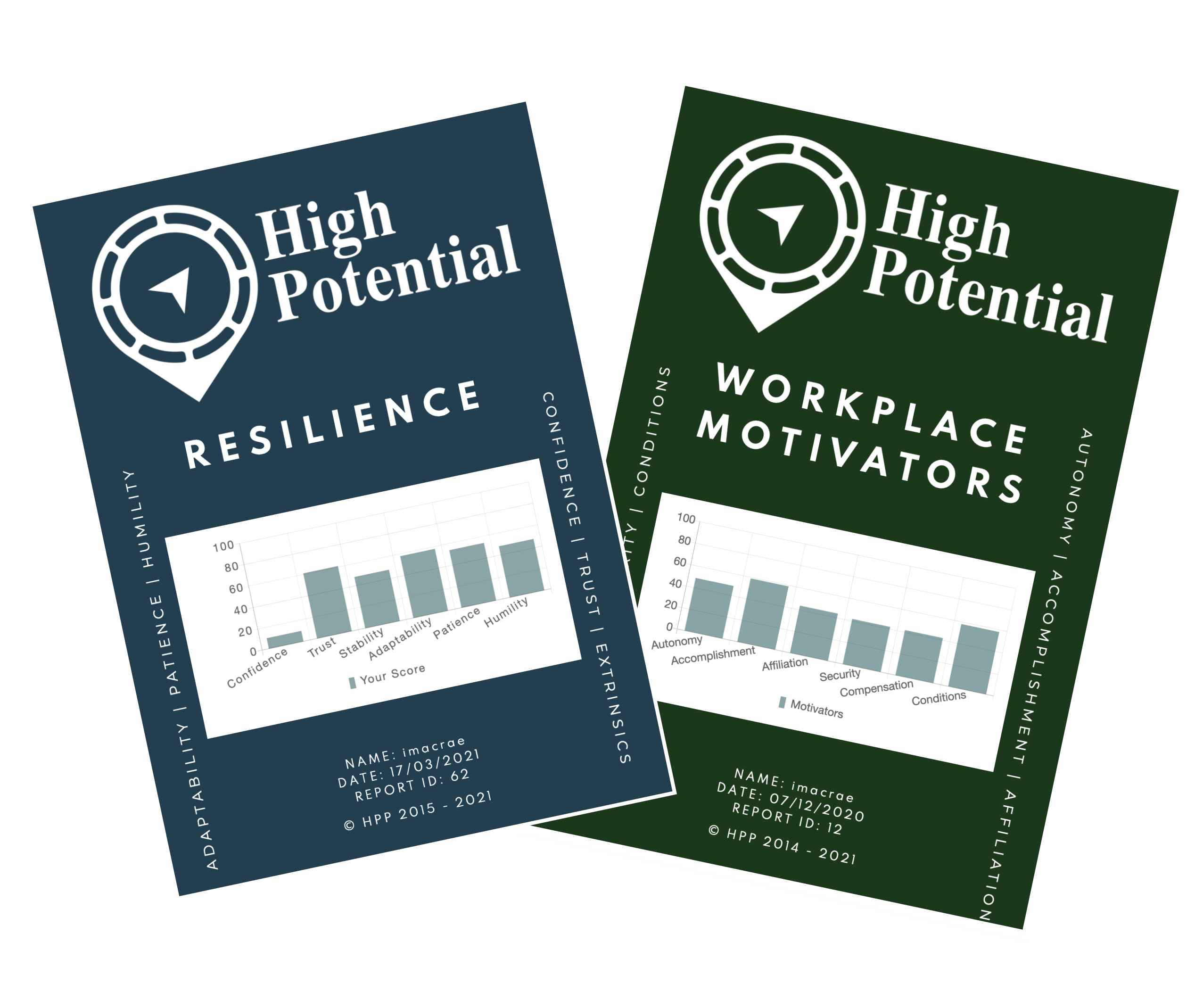 Resilience and Motivators Report Covers