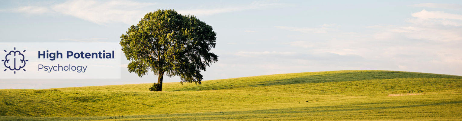 A lone tree on a rolling hill with a blue sky