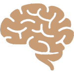 Icon of a brain to represent personality in gold