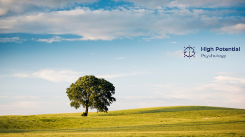 A lone tree on a rollin hill with blue sky